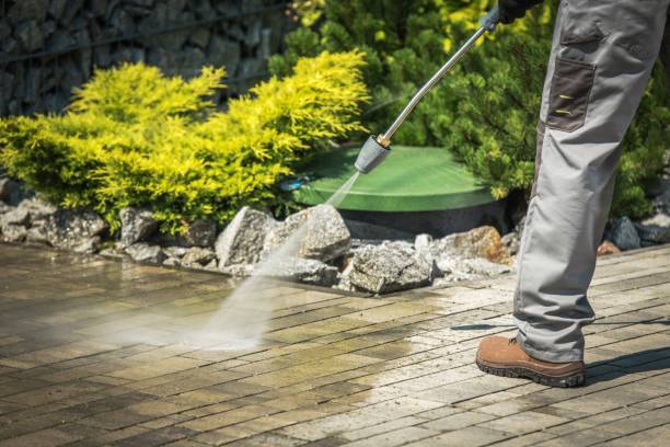 Best Solar Panel Cleaning  in Fairport, NY