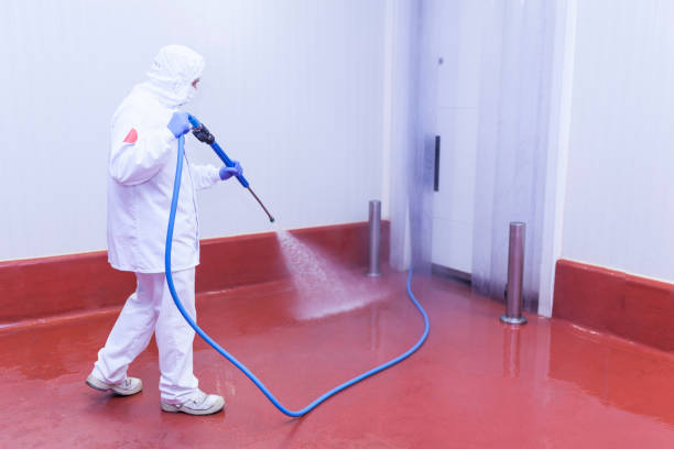 Best Sidewalk and Walkway Cleaning  in Fairport, NY
