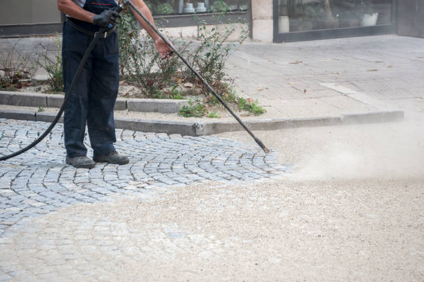 Best Dumpster Area Cleaning  in Fairport, NY
